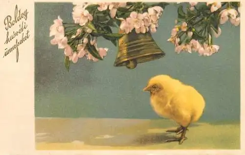 Flower postcard chicken and bloomed flowers bell Boldog