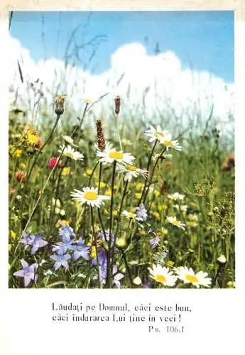 Romania religious psalm field flowers