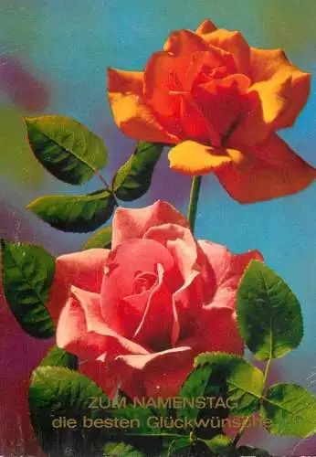 Germany flower postcard Zum Namenstag