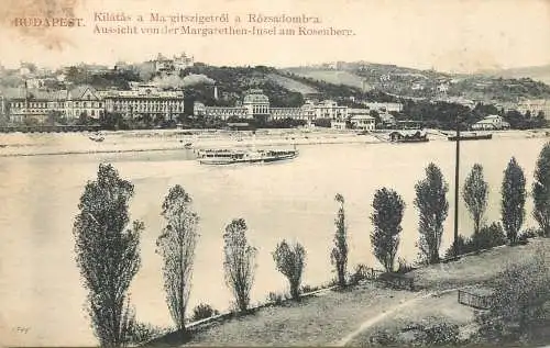 Postcard Hungary Budapest kilatas a Margitszigetrol a Rozsadombra