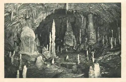 Postcard Slovenia Postojna Cave Park