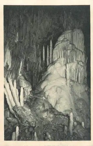 Postcard Slovenia Postojna Cave Park