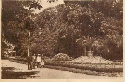 Postcard Romania Buzias parc