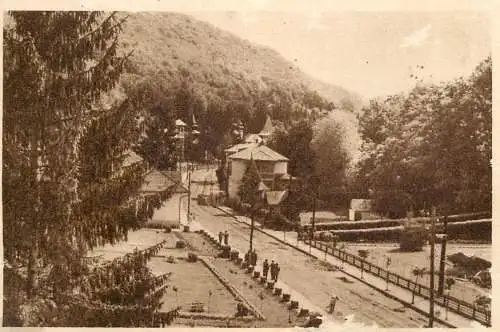 Postcard Romania Sovata parc 1952