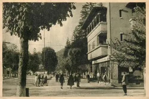 Postcard Romania Sinaia 1954