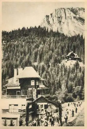 Postcard Romania Lacul Rosu 1955