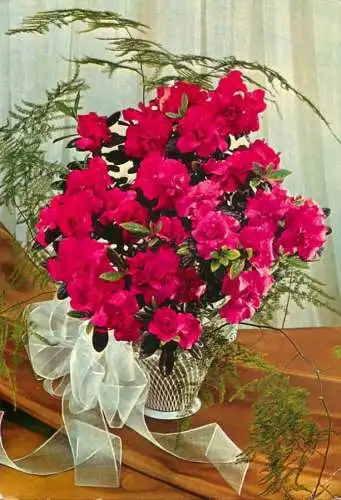 Postcard flower basket