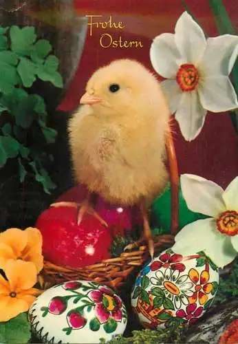 Postcard Easter scene eggs and chicken