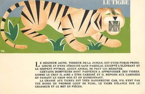 Postcard animal drawn tiger patterns