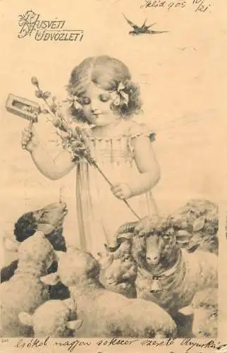 Postcard children scene girl and sheeps 1905