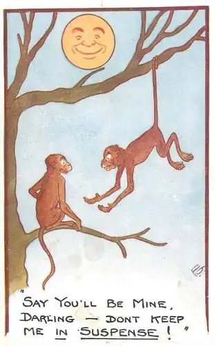 Postcard humour card monkeys in suspense joke