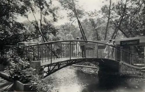 Hungary Miskolc Tapolca sziget espresso 1962