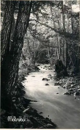 Hungary Matrabol forest and creek view