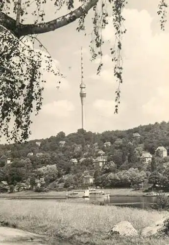Germany Dresden Laubegast Blick auf Wachwitz und den Fernsehturm