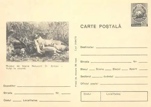 Romania entier postal natural history museum G. Antipa foxes