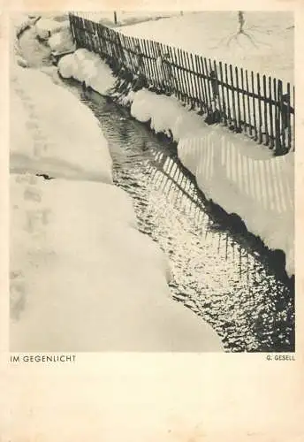 Winter scenery frozen water stream detail aspect G. Gessell photo