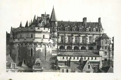 France Chateau Amboise