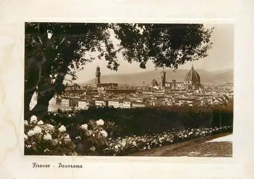 Italy Firenze panoramic view