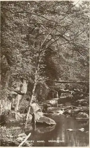 United Kingdom England Derbyshire Grindleford Adley Wood