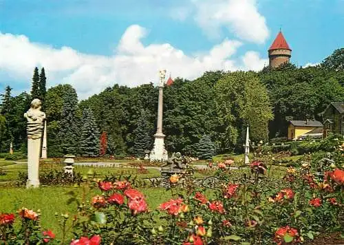 Czech Republic Konopiště castle rose garden