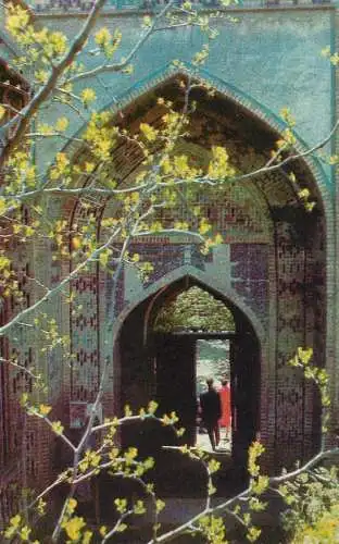 Architectural monument of Samarkand portal Shaki -zind