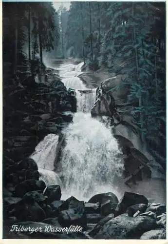 Germany Triberger Wasserfalle/Schwarzwald