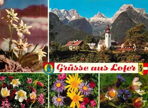 Austria Lofer mountain flowers