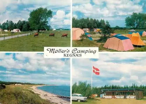 Denmark Kegnaes camping Moller