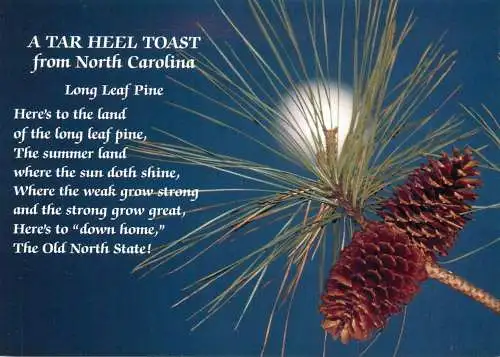 USA North Carolina Oak Plains School historical site 1997 long leaf pine