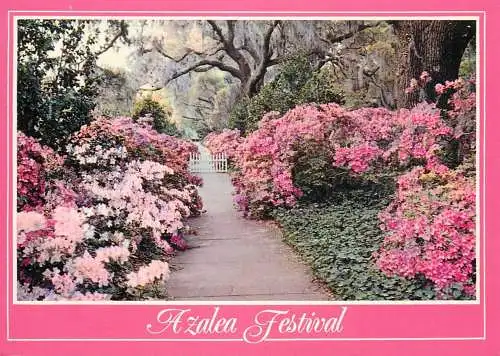 USA Wilmington NC Azalea Festival garden view