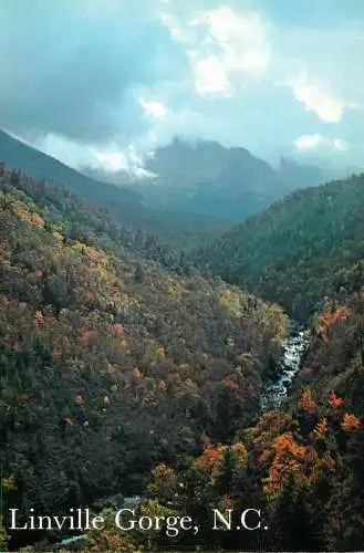 USA Linville Gorge NC panoramic view
