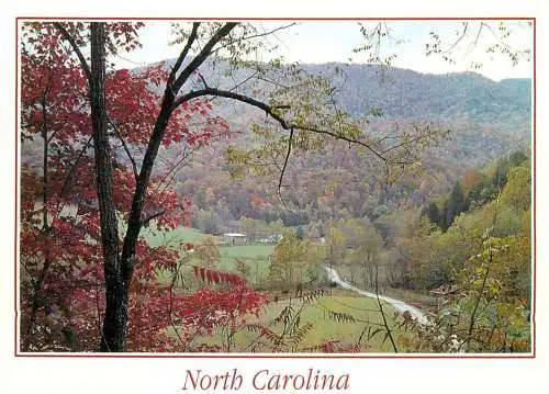 USA North Carolina autumn colours panoramic view