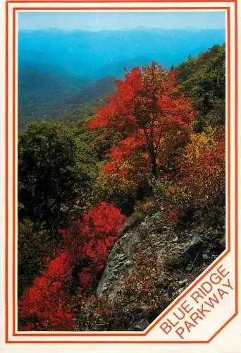 USA North Carolina Blue Ridge Parkway picturesque autumn colours