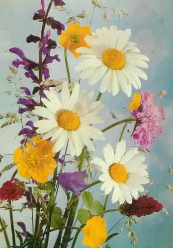 colourful floral arrangement