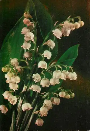 Lily of the valley flower bouquet