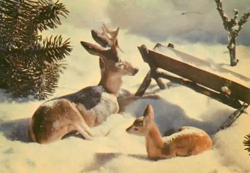 Christmas greetings miniature deer and fawn decorative ornaments