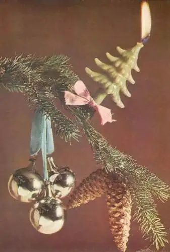 Winter Holidays greetings decorated fir tree partial view