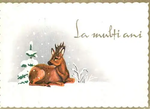 Winter Holidays greetings deer illustration