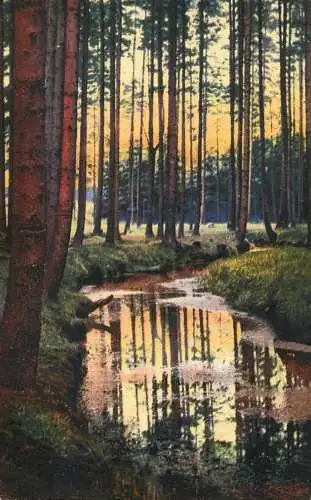 Place to identify water stream & forest picturesque natural landscape
