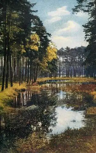 Place to identify lake & forest picturesque natural landscape
