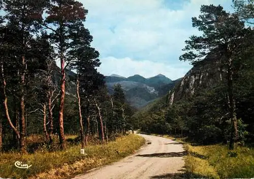 France Saou - Foret de Saou