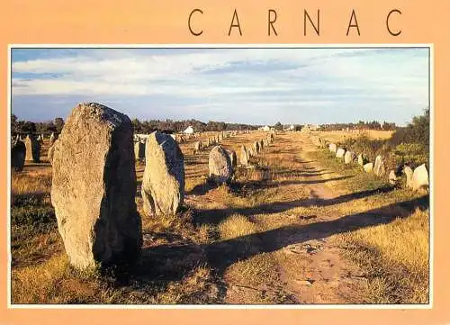France Carnac (Morbihan)  Alignements du Menec