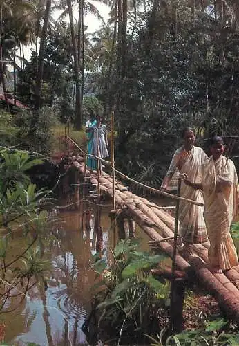 Asian ethnics wooden bridge crossing jungle scene