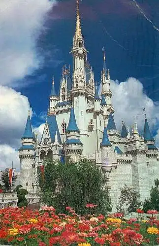 Walt Disney World Disneyland Magic Kingdom Park Cinderella Castle