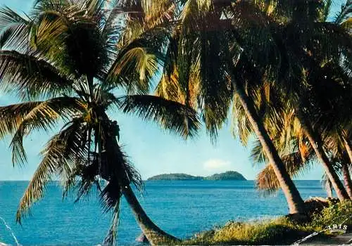 Antilles sea-side tropical exotic view