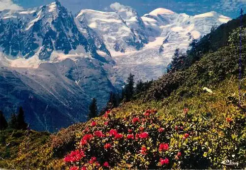 France Chamonix-Mont-Blanc 1973