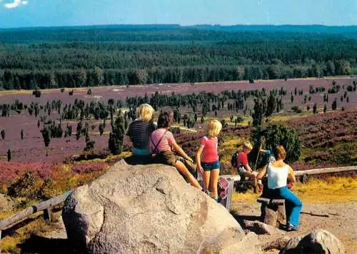 Germany rast am Wilseder Berg im Naturschutzgebiet Luneburger Heide 1997