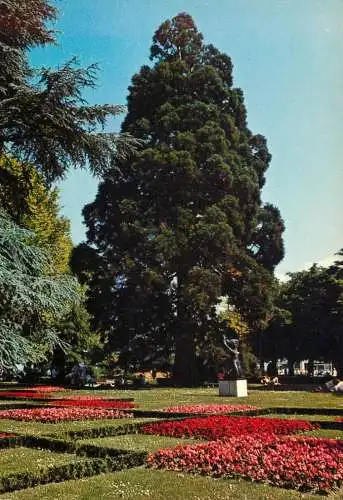 Switzerland Lausanne Ouchy le parc