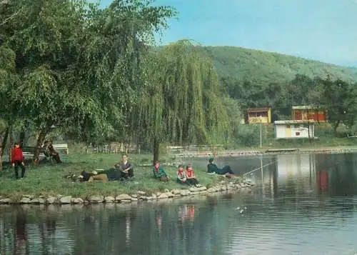 Hungary Matrafured Sedge pond