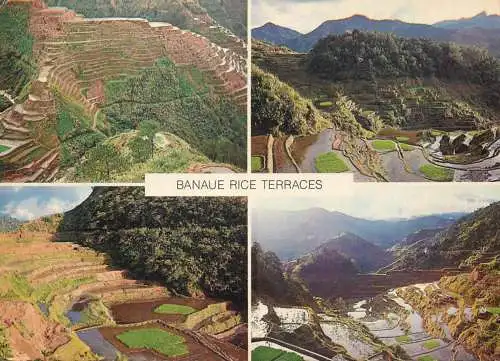 Banaue Ifugao Filipine rice terraces